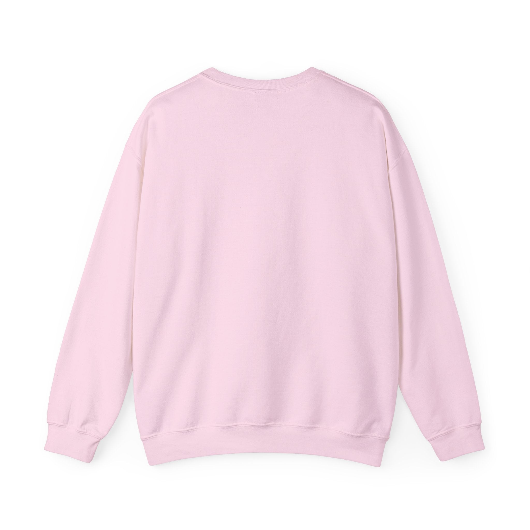 White Crewneck Sweatshirt with Pink Doodles — Minimal Animal Sketch Design